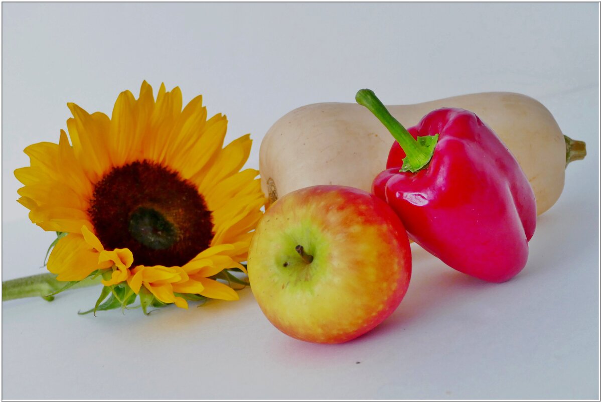 ДАРЫ ОСЕНИ... - Elvira E. ДАРЫ ОСЕНИ... - Elvira E.