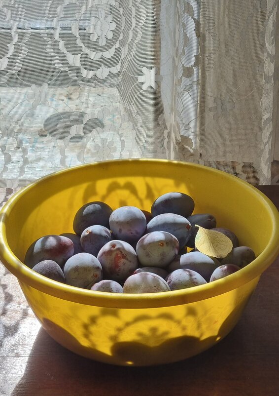 Сливы - Наталья 