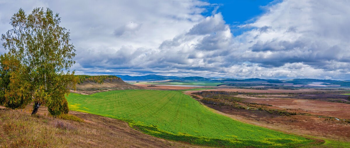 Осенние просторы.... - Алексей Мезенцев