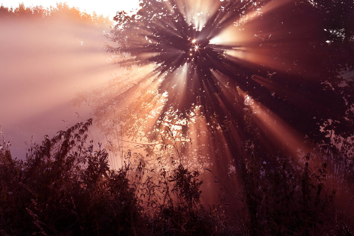 Утро 13 сентября. Царицыно - Михаил Бибичков