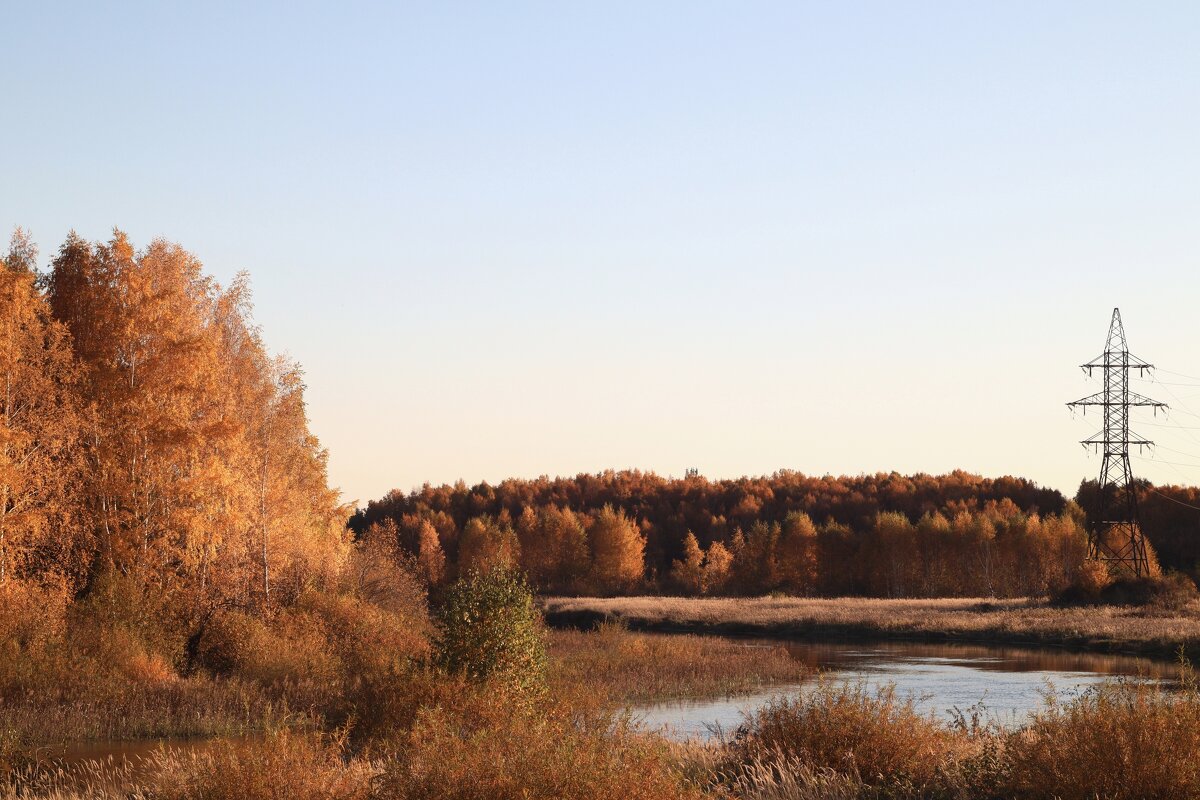 Золото осени - Дмитрий Петров