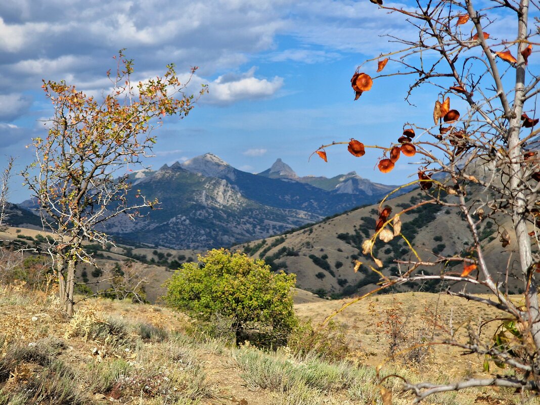 Крым. - Мария Яковлева