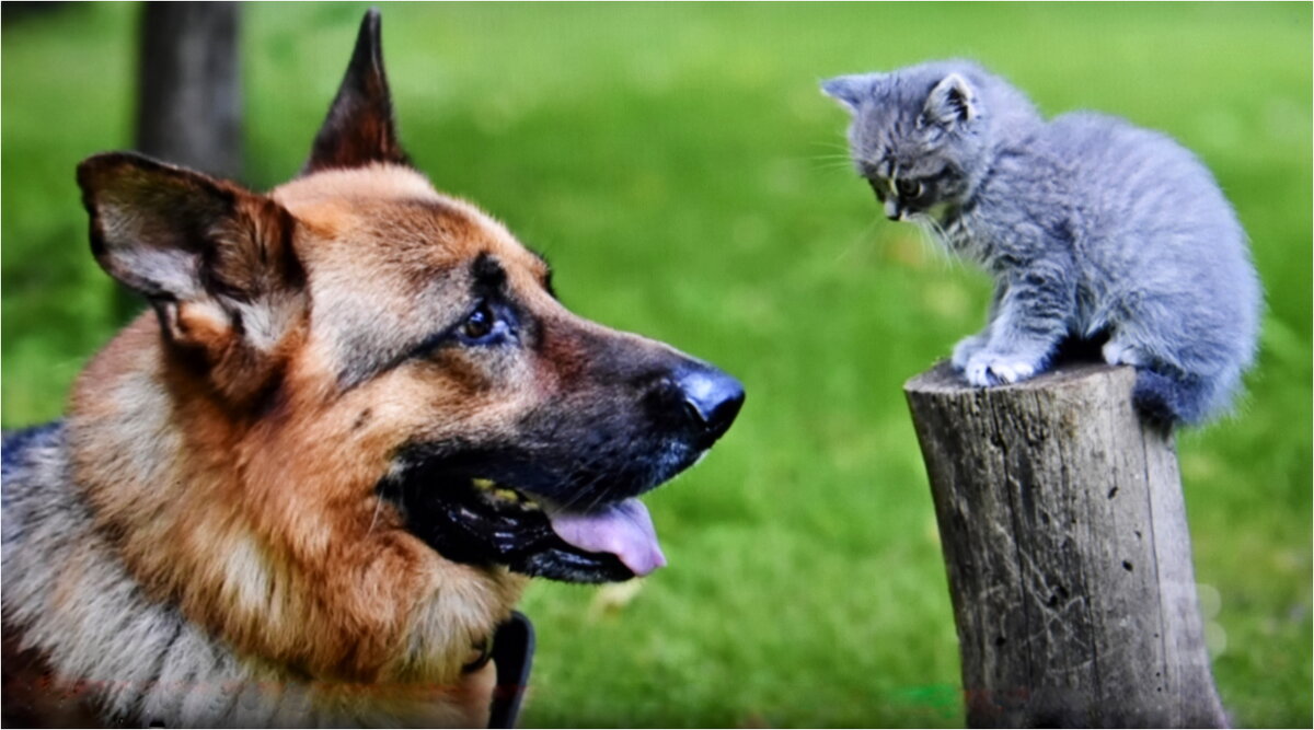 НАШИ БЛИЗКИЕ - Юрий Владимирович 34