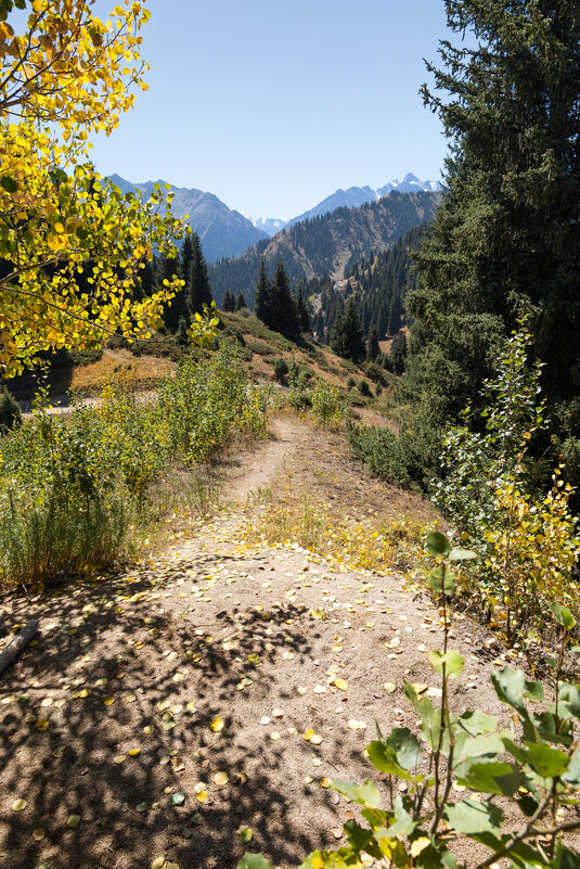 Шаги осени - Алексей Большаков