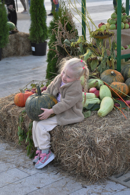Дары осени (фестиваль Город Сад) - Татьяна Машошина Дары осени (фестиваль Город Сад) - Татьяна Машошина