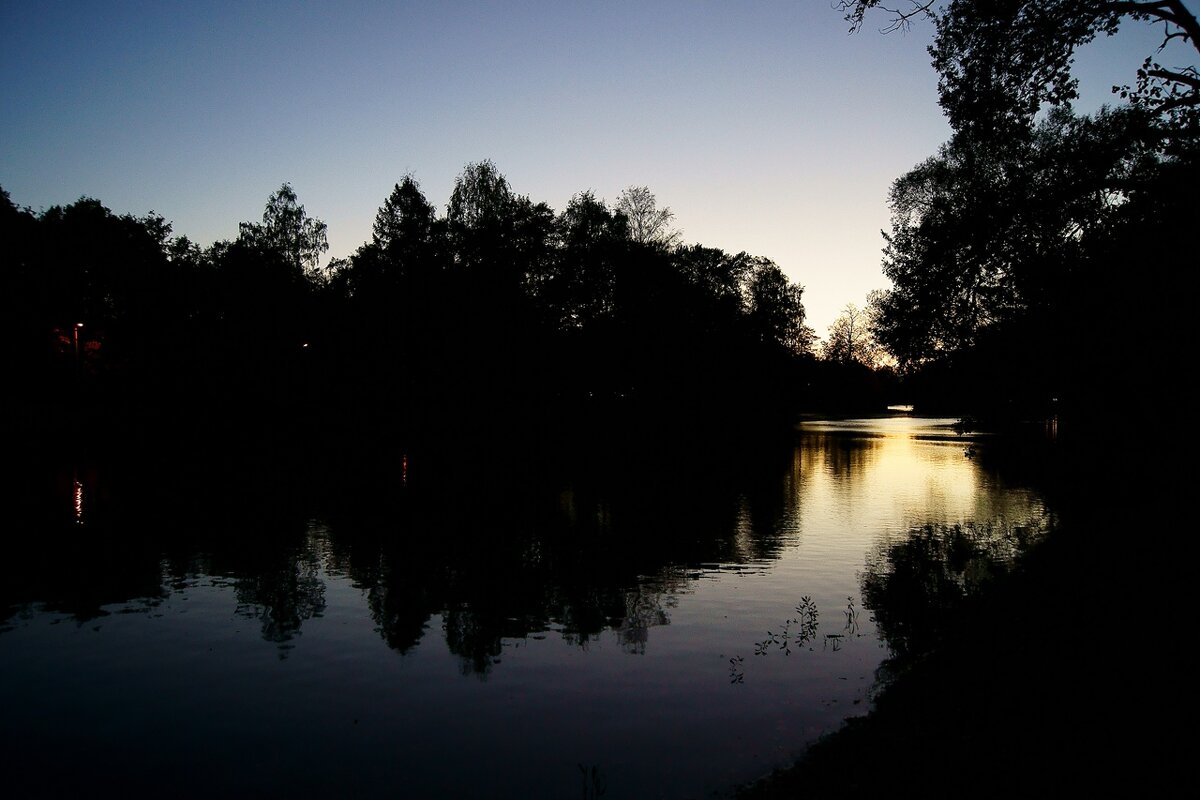 Свет и тьма 7 - Игорь Тельцов