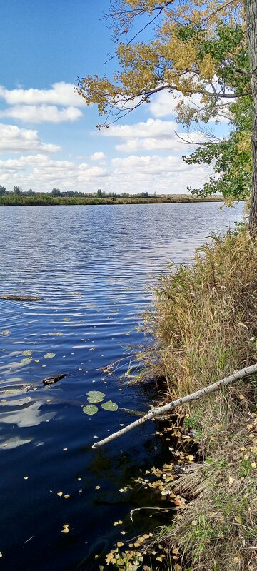 Вдоль по озеру - Андрей Макурин