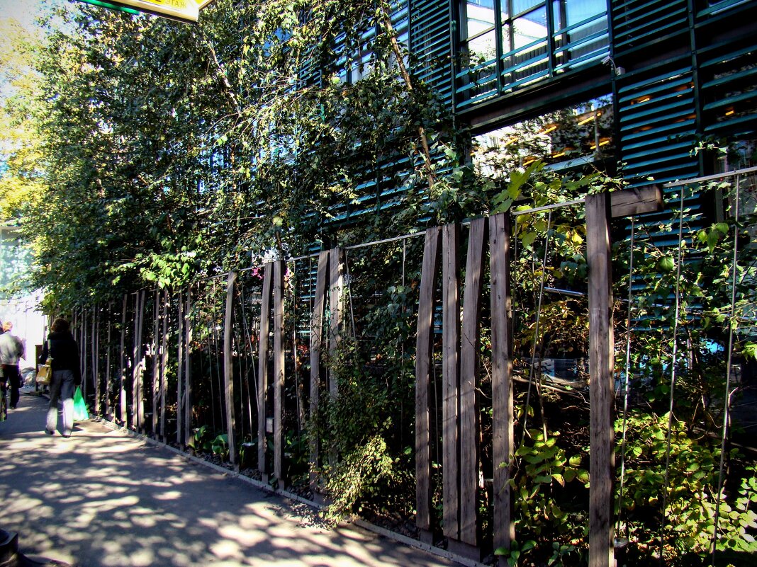 Огород начинается сразу тыном,,,) - Анатолий Колосов