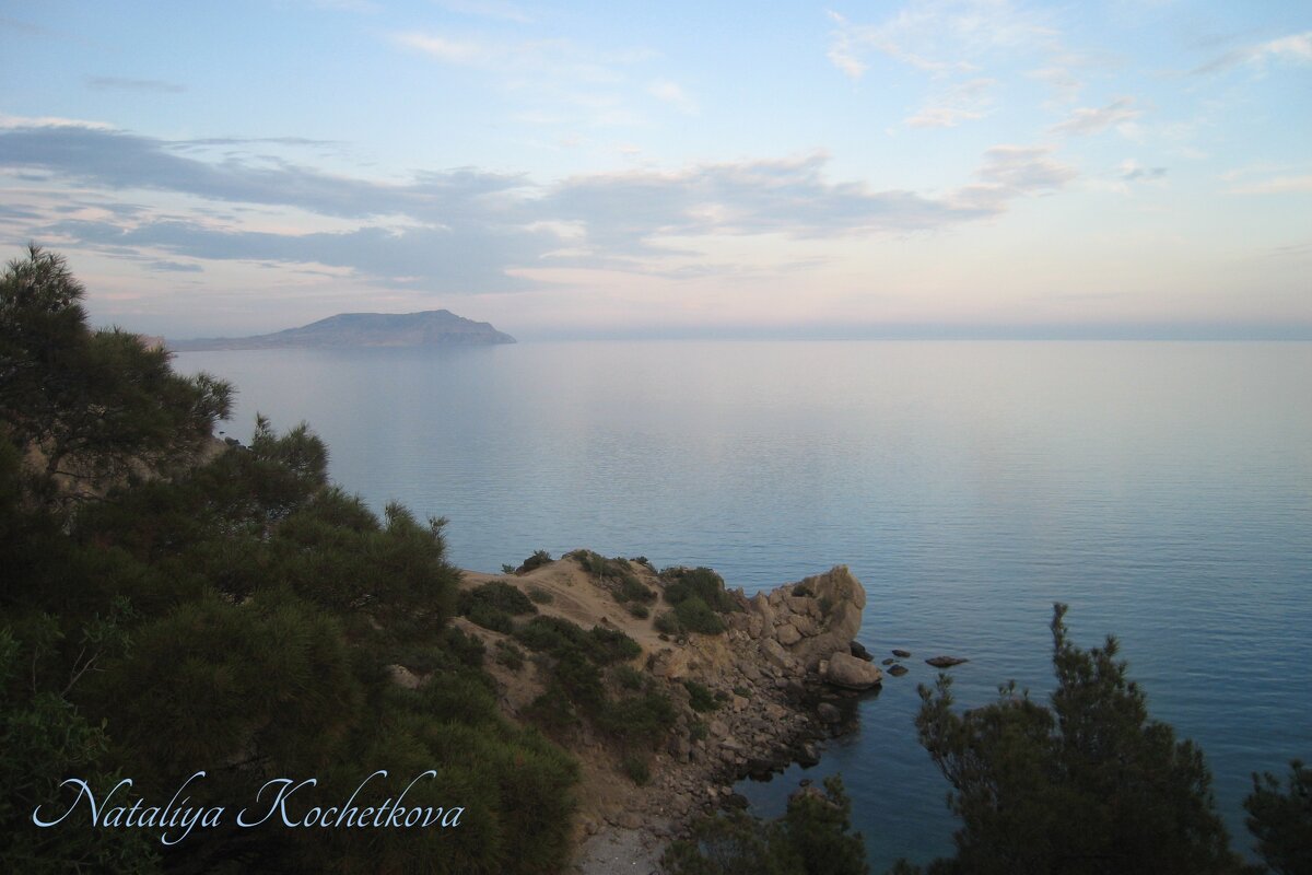 Природа Крыма - Amazing Cosmea