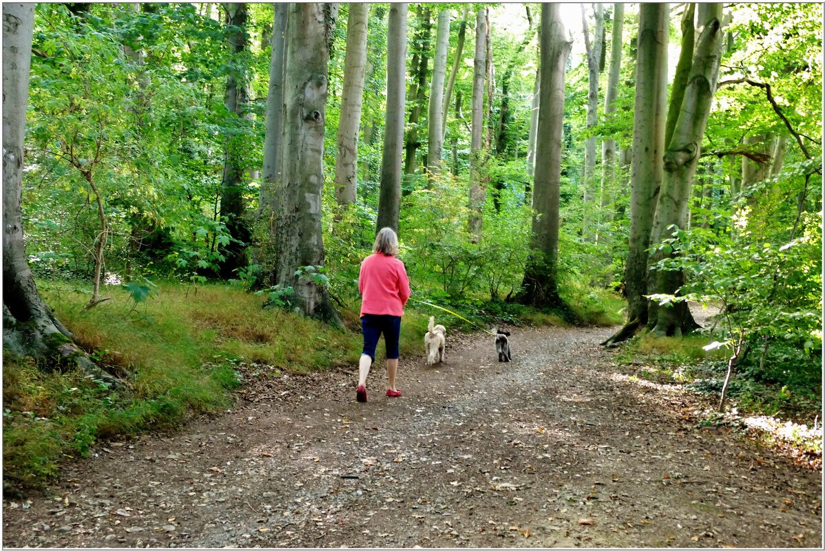 В ЛЕСУ... - Elvira E. 