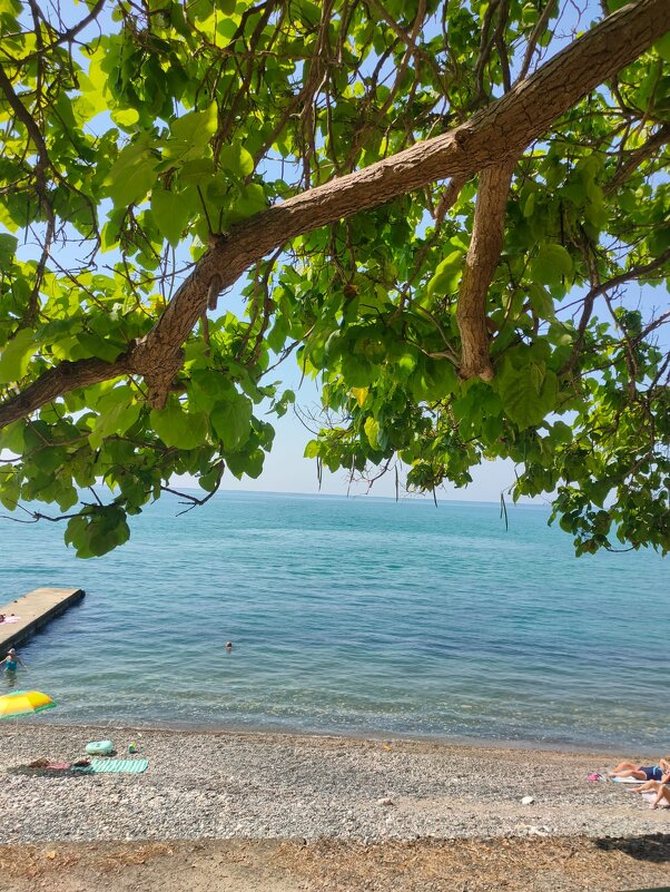 В Новом Афоне - Ирэн 