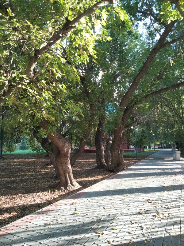 Возле Собора - Динара Каймиденова