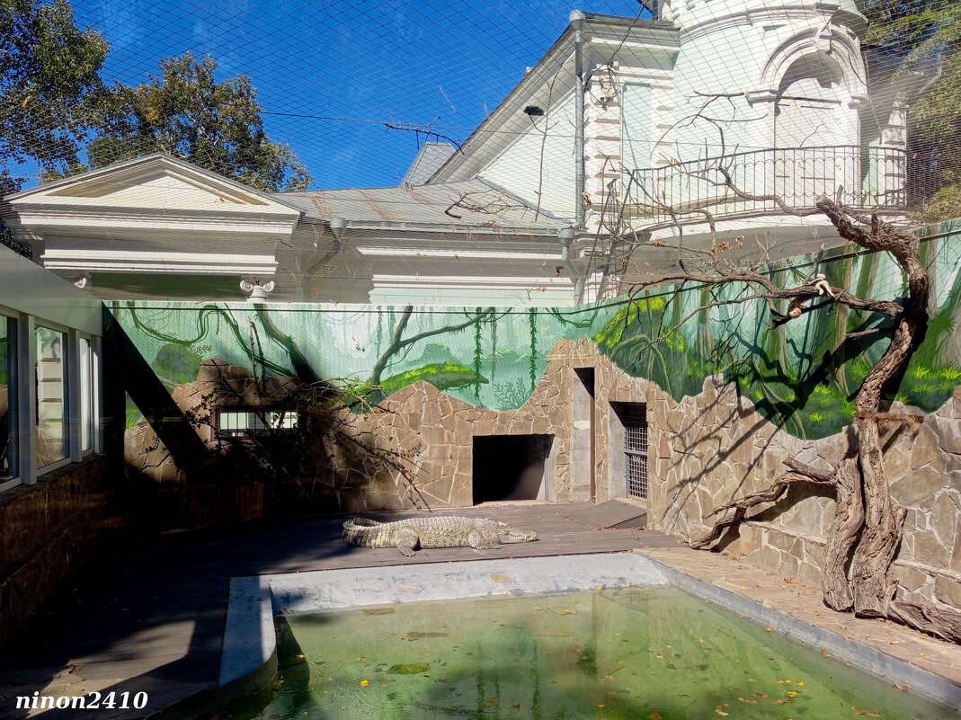 В ростовском зоопарке - Нина Бутко