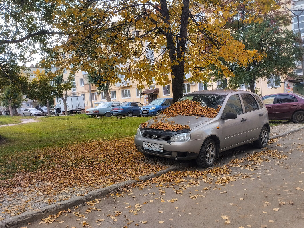 Злато-серебро - Дмитрий Костоусов