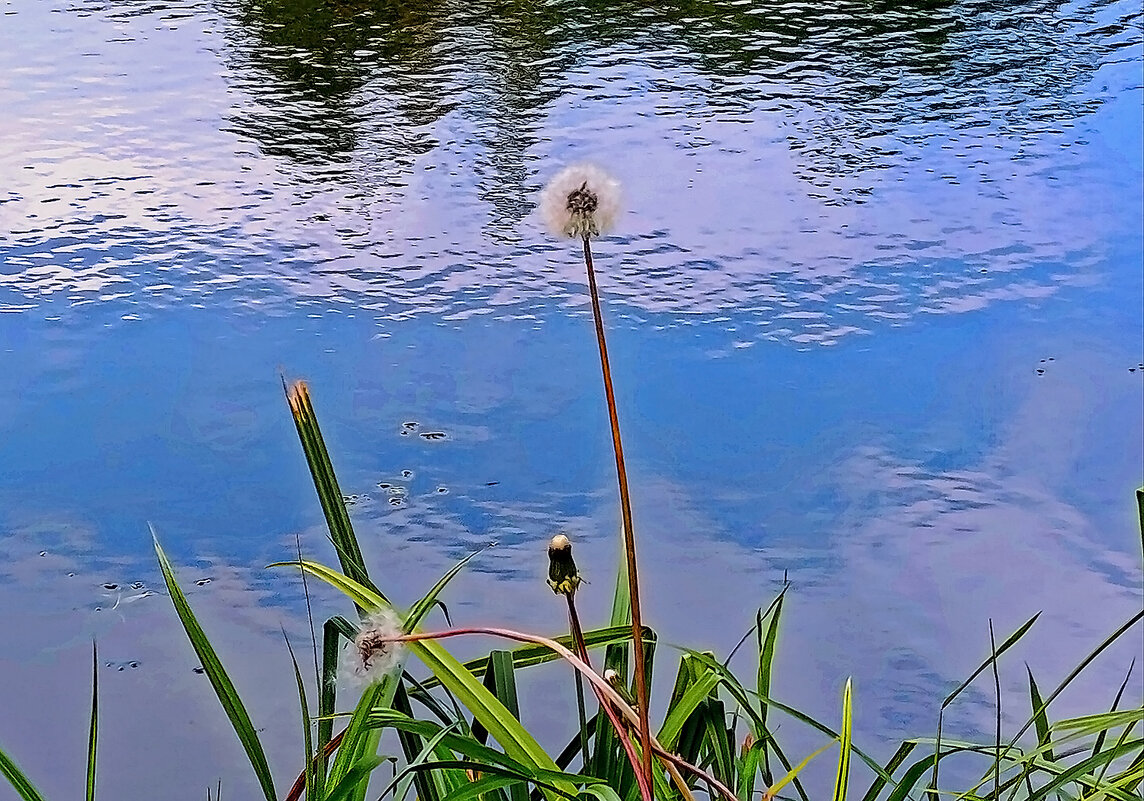 На реке. - Валентина  Нефёдова 