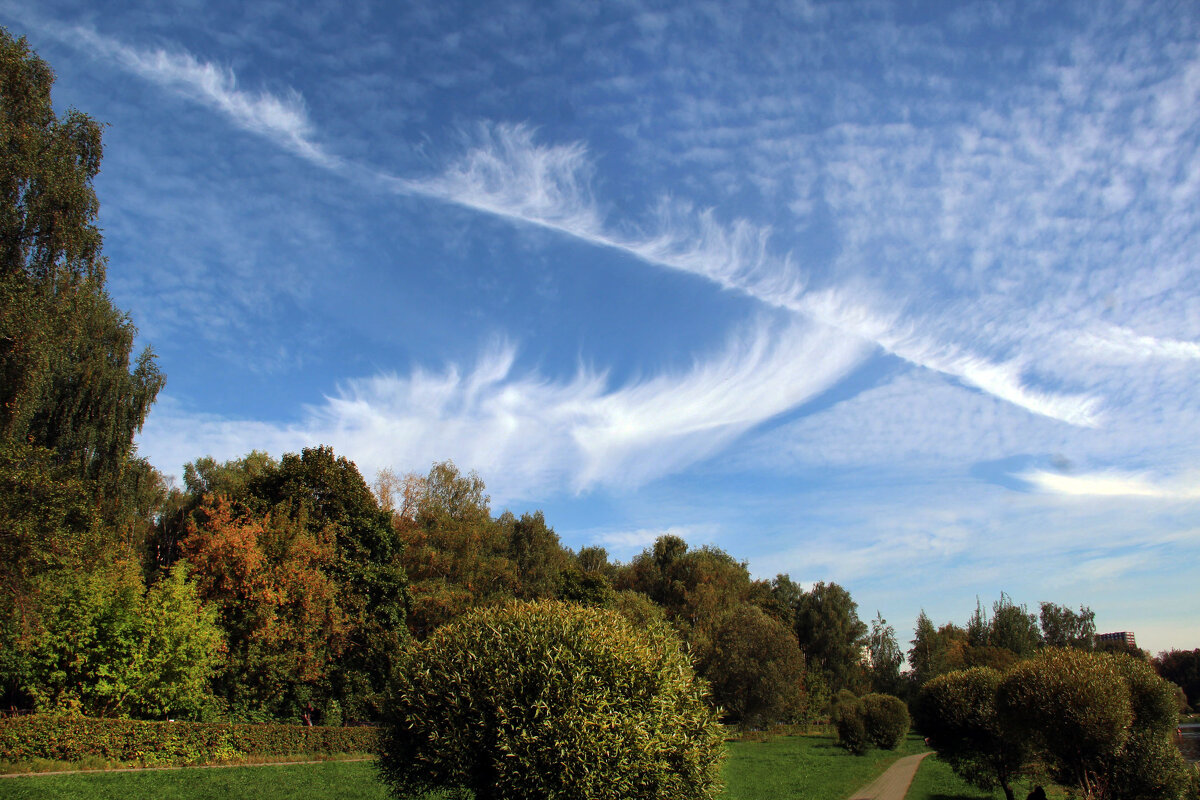 . - РИТА ЛЕВКОВА