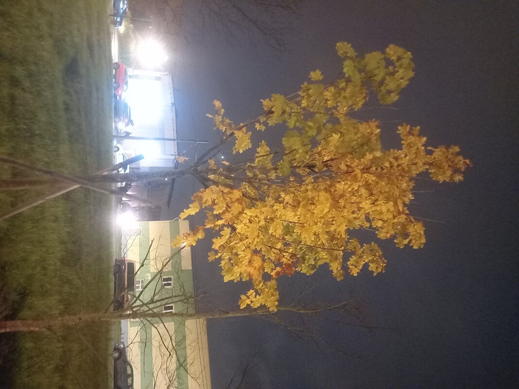 Осень - Сапсан 