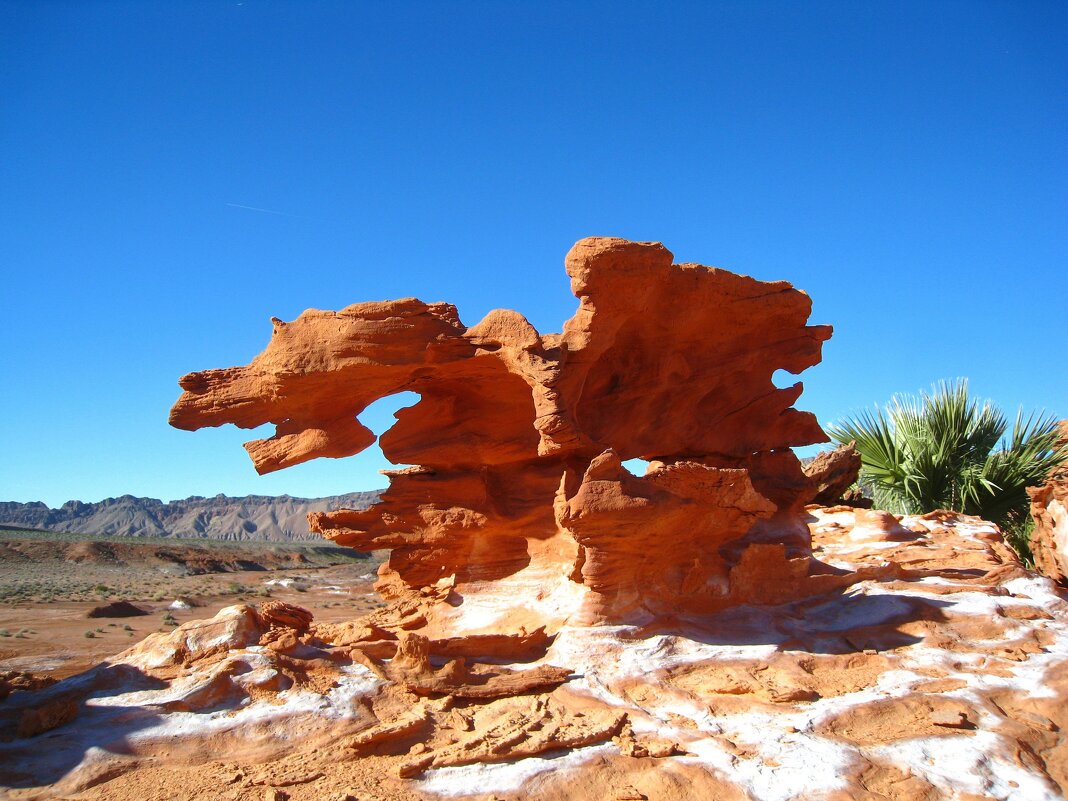 Чудо-Юдо из американского штата Невада. - unix (Илья Утропов)