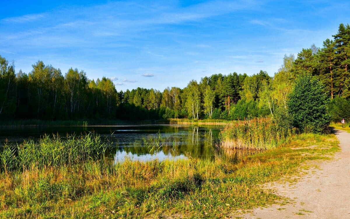 Осенний вечер на озере. - Милешкин Владимир Алексеевич 