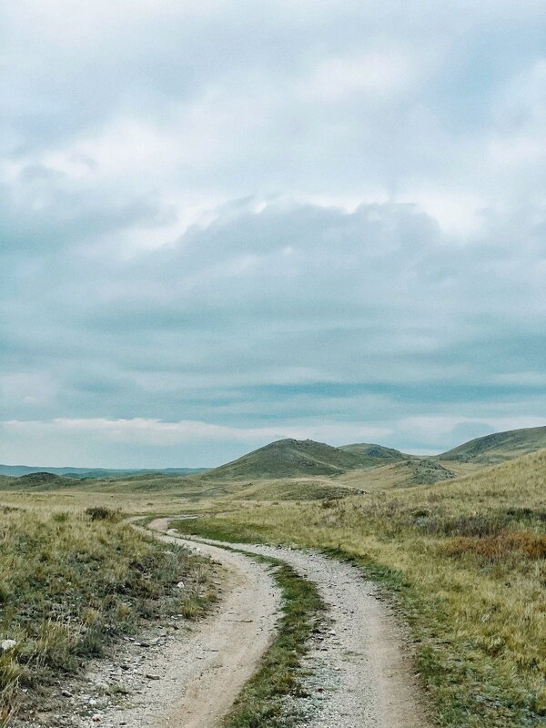 Сопки в степи - Георгиевич 