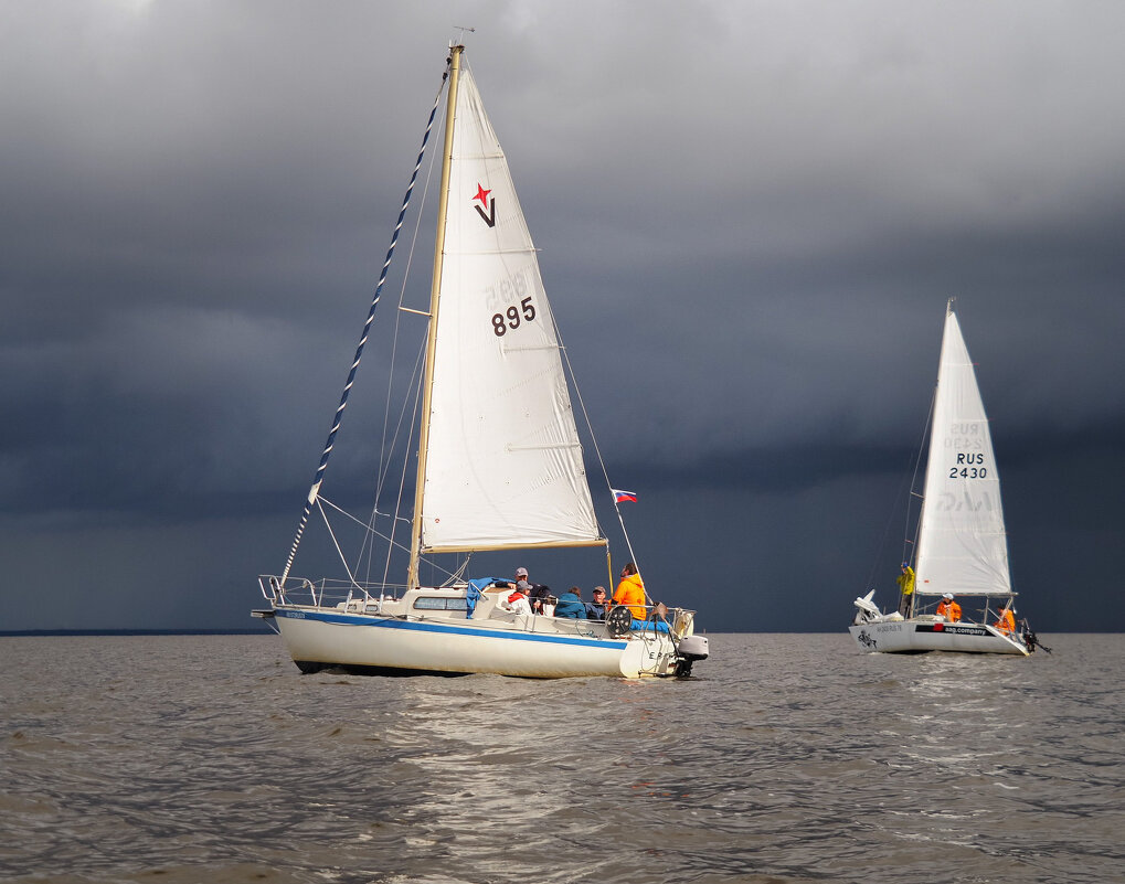 Регата - Магомед .