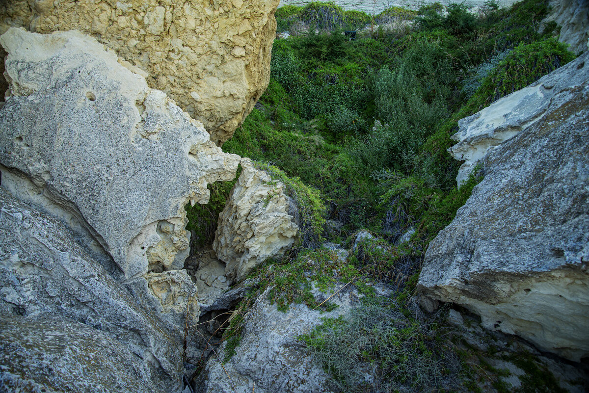 Меж камней - Анатолий Чикчирный