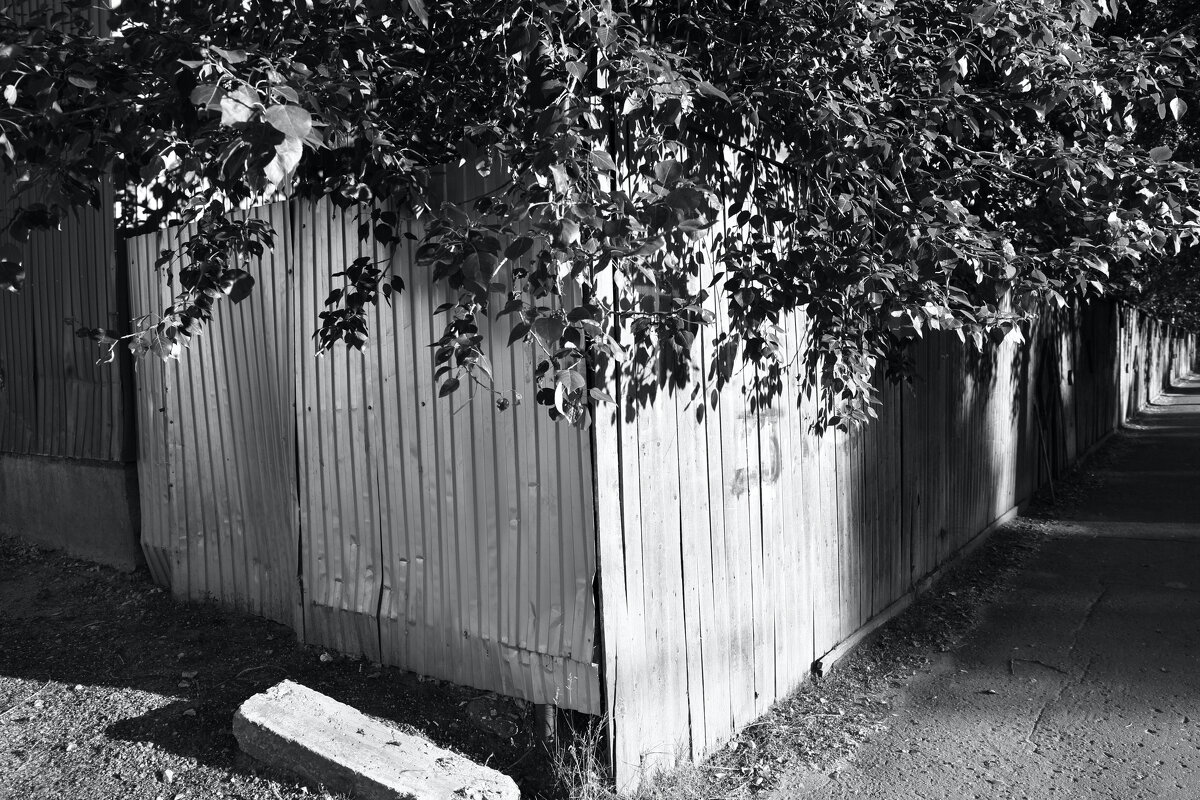 ... - Денис Безногов