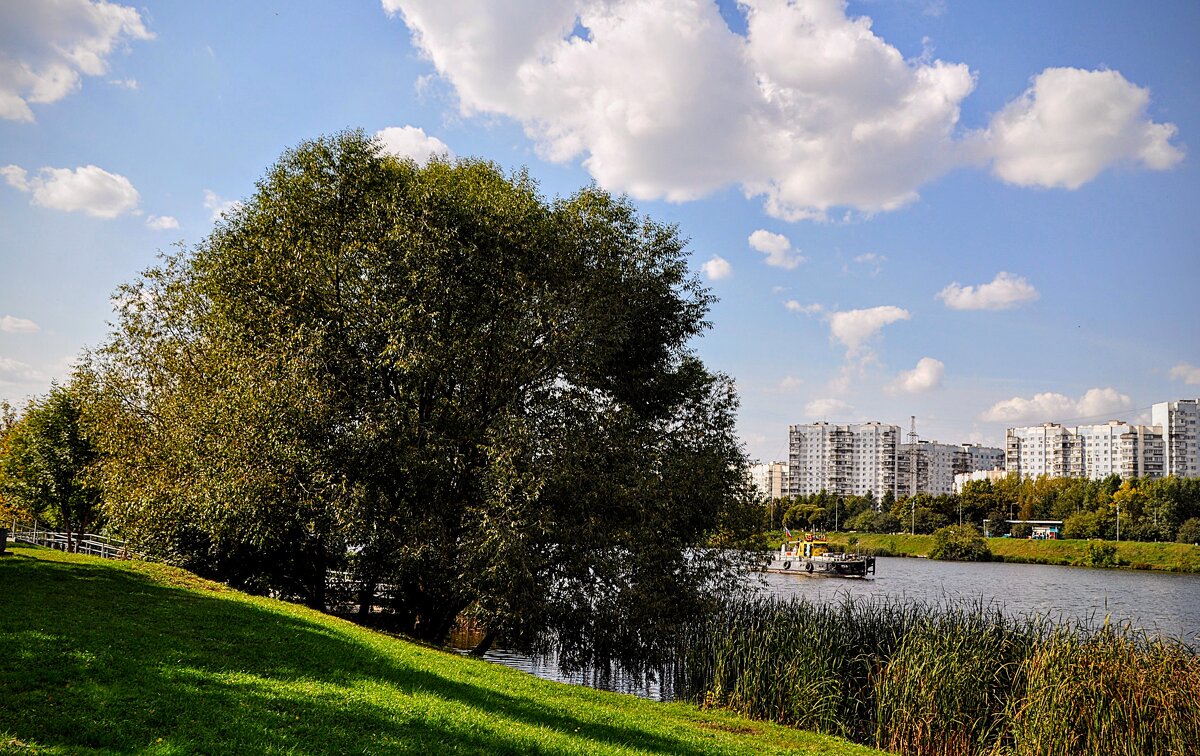 Солнечный день на реке,,, - Анатолий Колосов