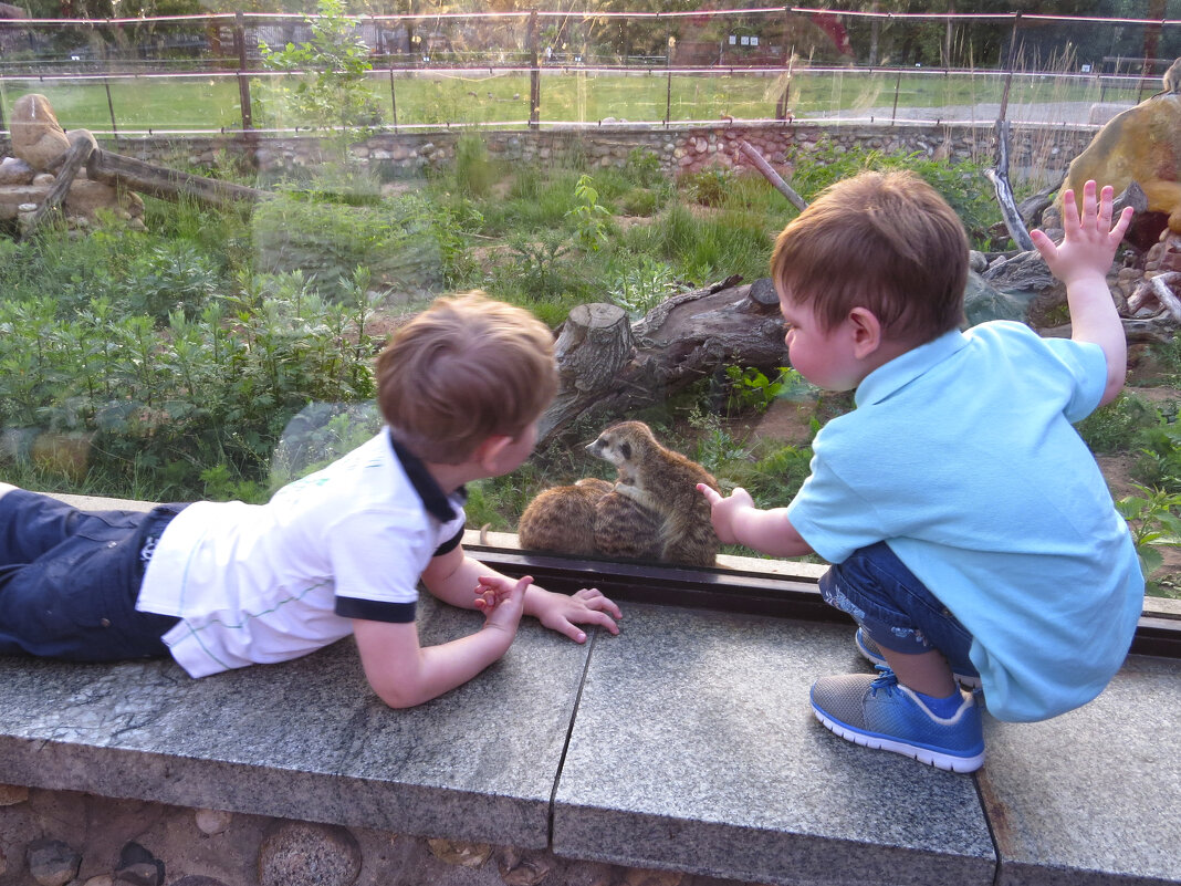 знакомство - ИРЭН@ .