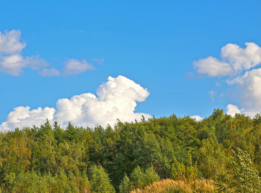 Сентябрьский пейзаж - Светлана 