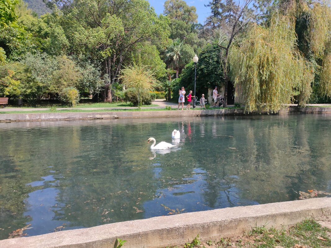 Лебединое озеро в Новом Афоне - Ирэн 