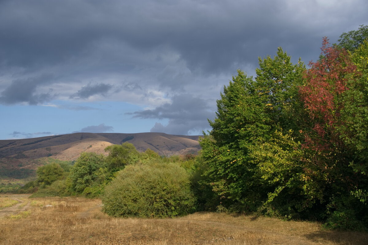 любимое предгорье - Всеволод 