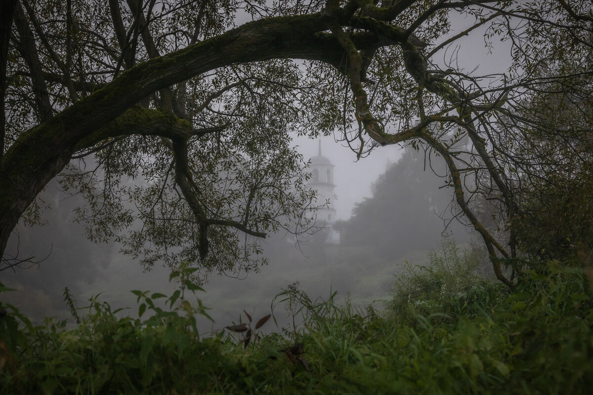 **** - Елизавета .