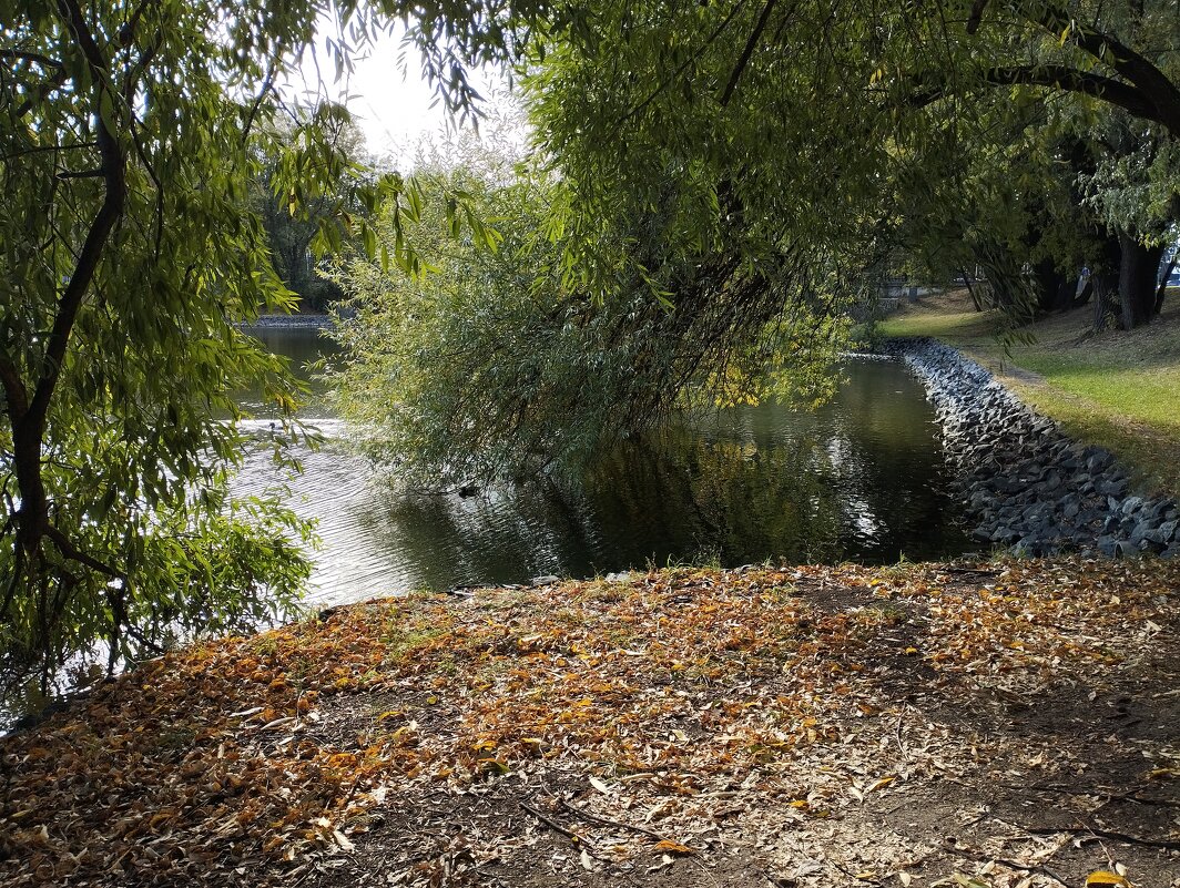 Городской пруд - Сергей Лындин