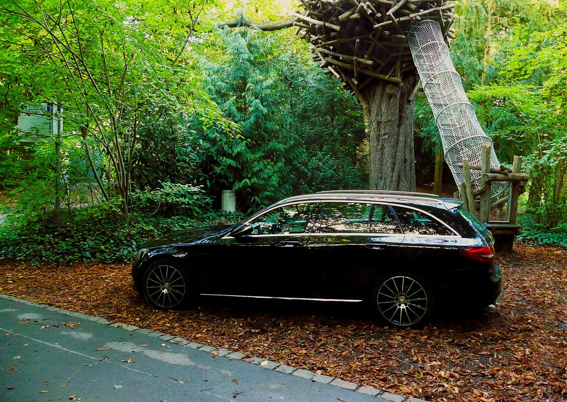 Мотивы осени - Владимир Манкер