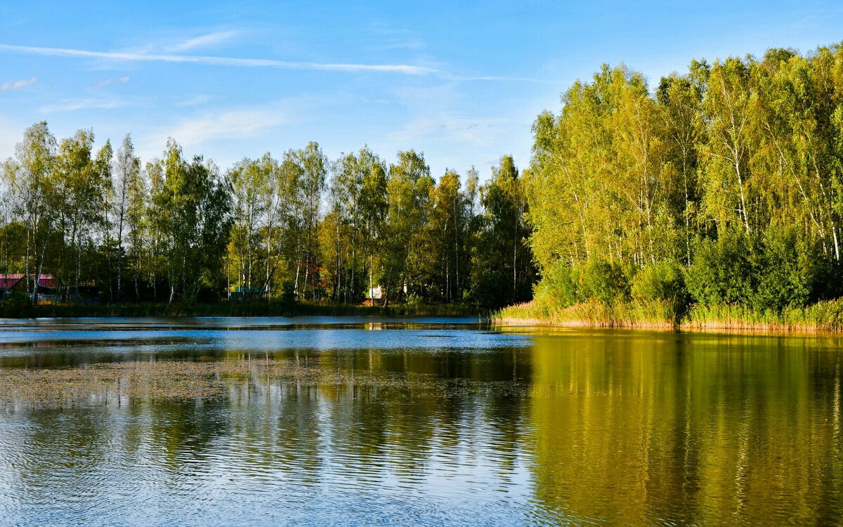Осенний вечер в деревне. - Милешкин Владимир Алексеевич 
