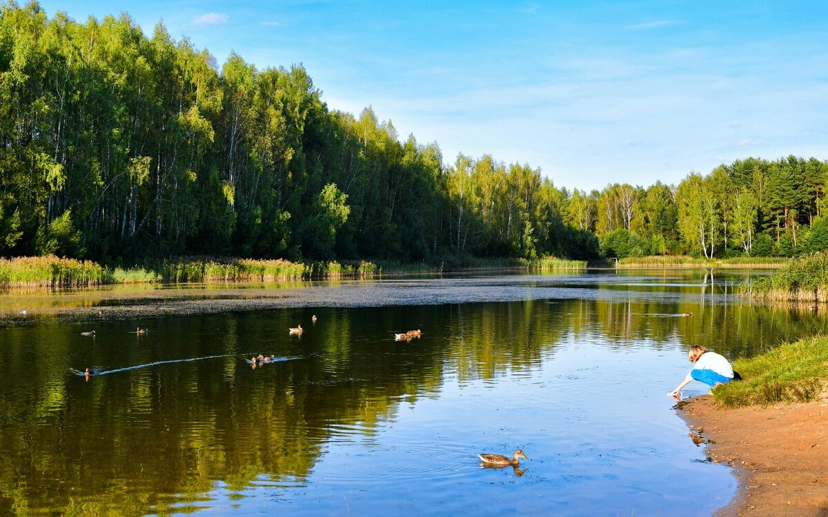 Мальчик и утки. - Милешкин Владимир Алексеевич 