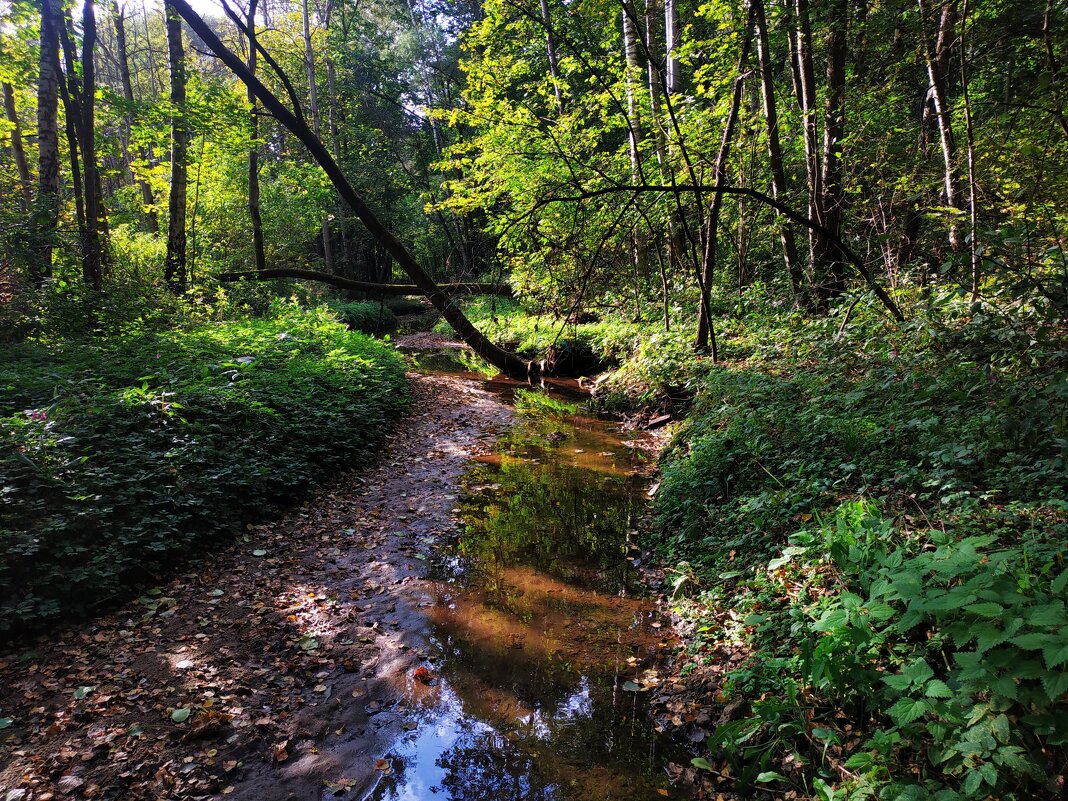 * * * - Андрей Лукьянов