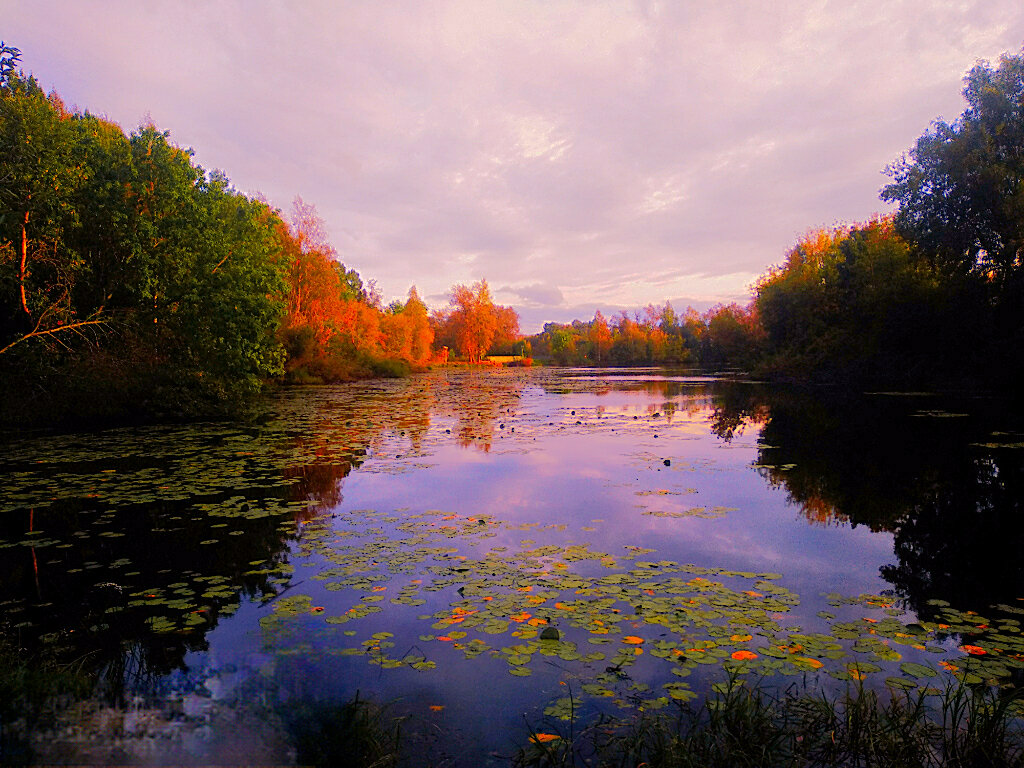 Осенний вечер - Сергей Кочнев