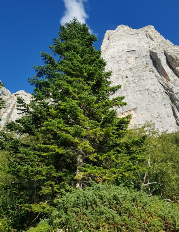 Пшехский водопад - Tata Wolf
