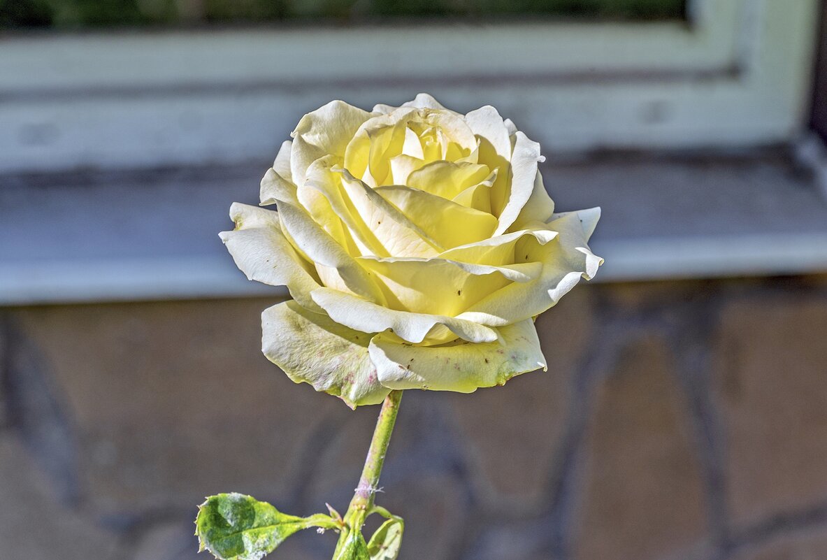 Осенняя - Валерий Иванович