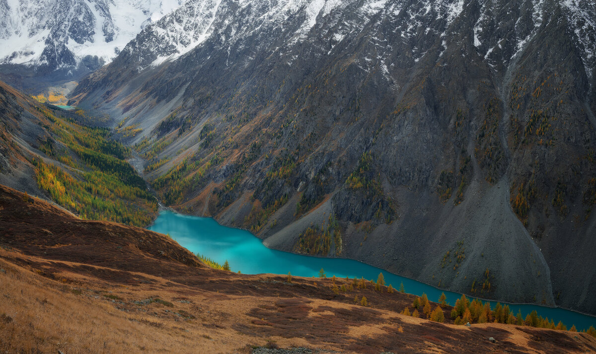 * - Александр Иванов