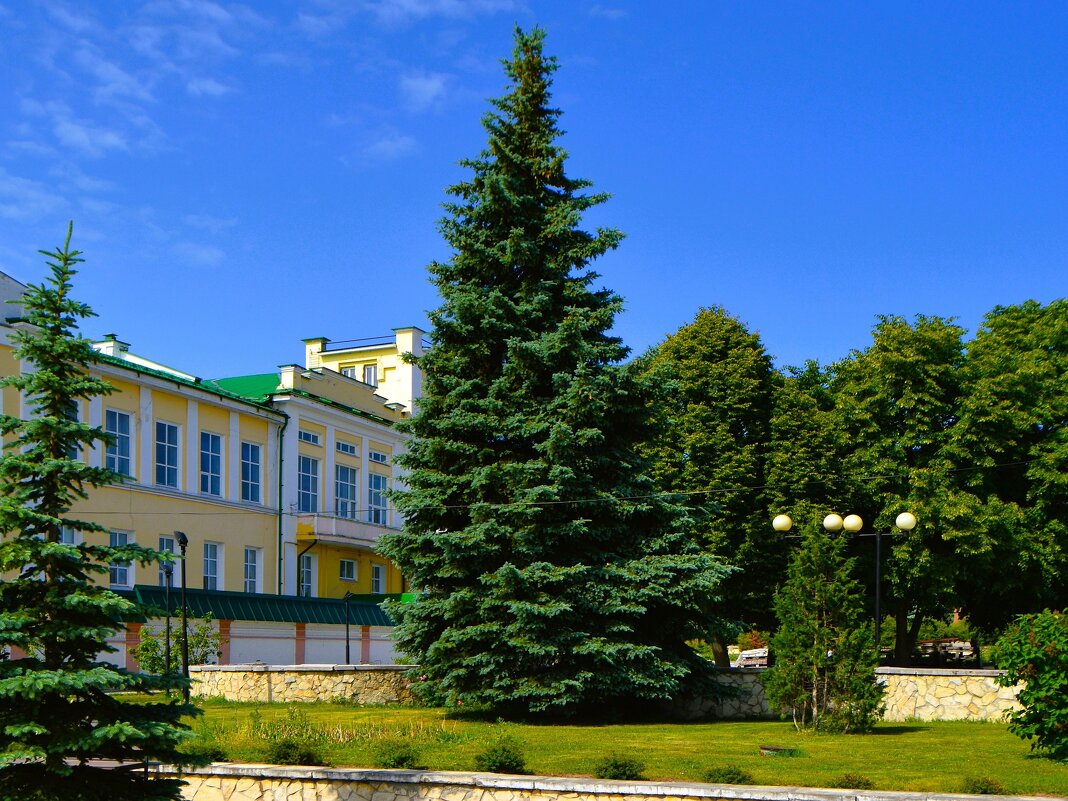 Чебоксары. Ели Свято-Троицкого монастыря летом. - Пётр Чернега Чебоксары. Ели Свято-Троицкого монастыря летом. - Пётр Чернега