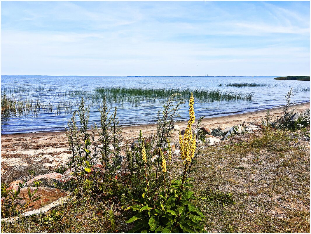 На Калининградском заливе. - Валерия Комова На Калининградском заливе. - Валерия Комова