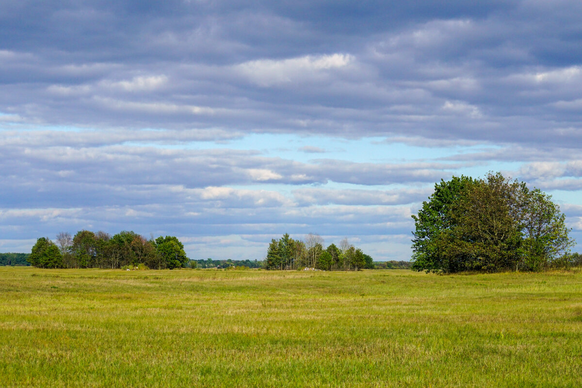 Начало Осени - Игорь Сикорский