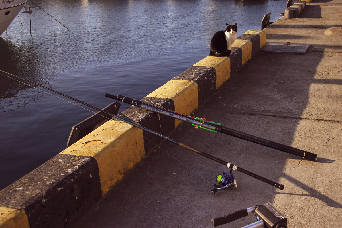 Рыболов - Татьяна Сергиенко