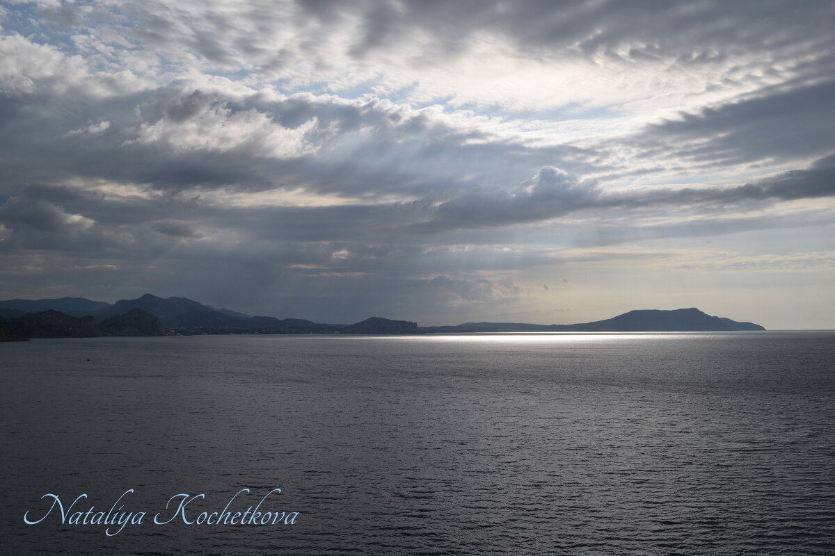 Природа Крыма - Amazing Cosmea