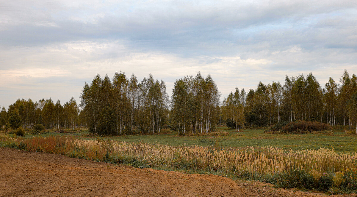 перед полетом, на аэродроме - Владимир Зеленцов