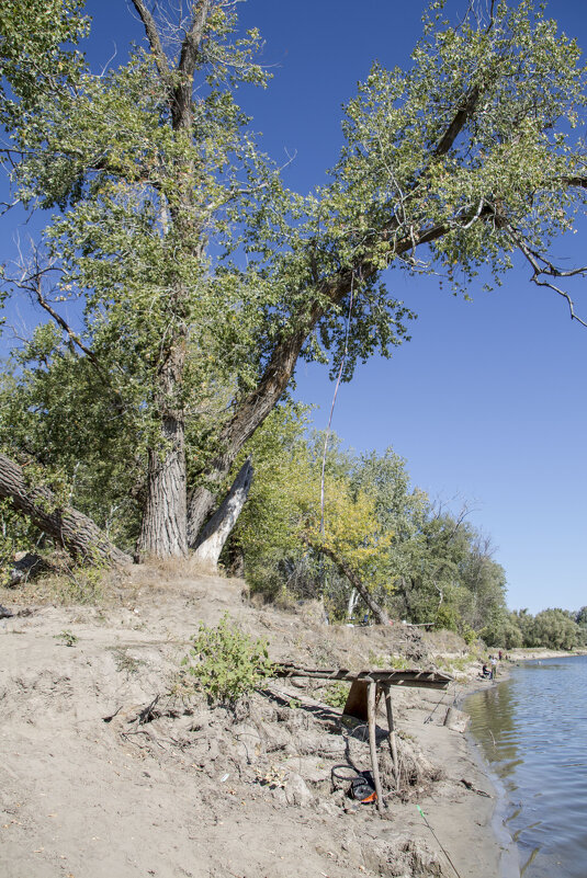 Донской старый пирс - Тамара Федорова