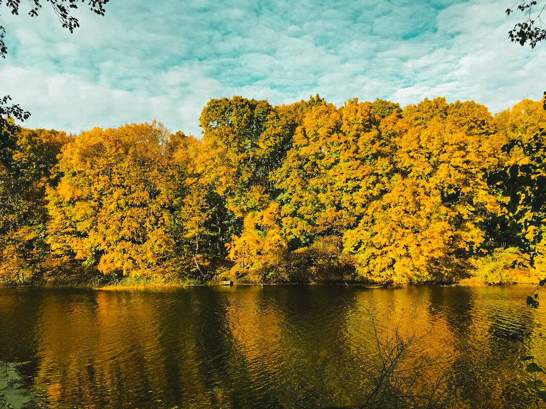 Осенняя атмосфера - Дмитрий Курский 